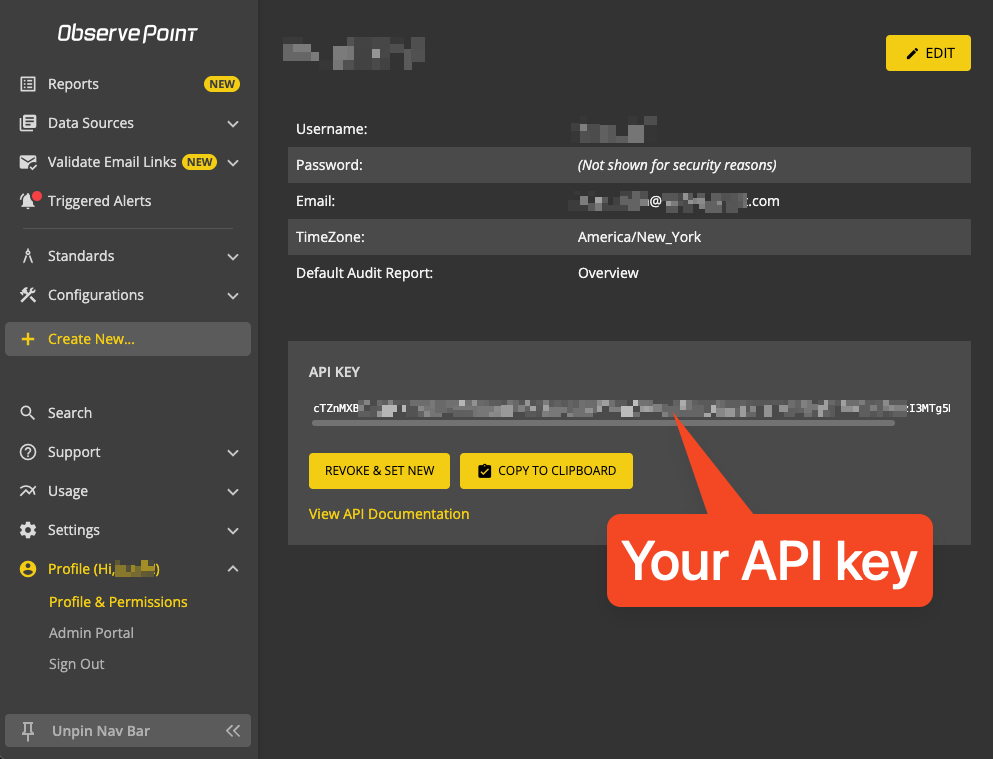 Screenshot of the API key location in the ObservePoint UI